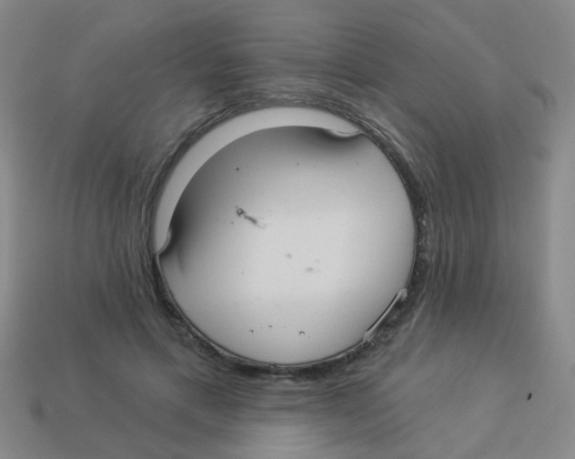 X0000113880597200910221357