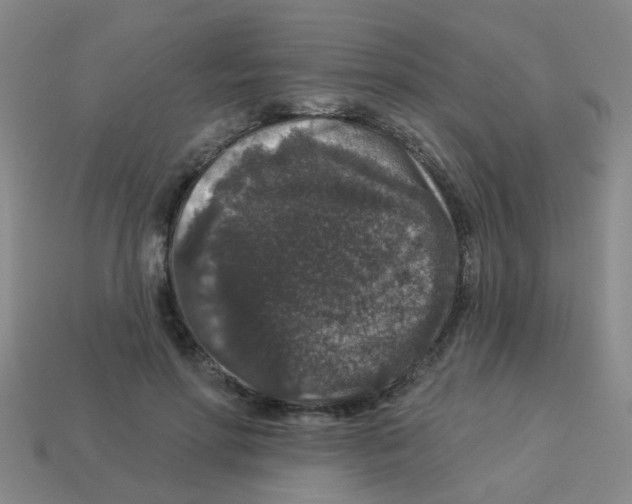 X0000113880598200910221357