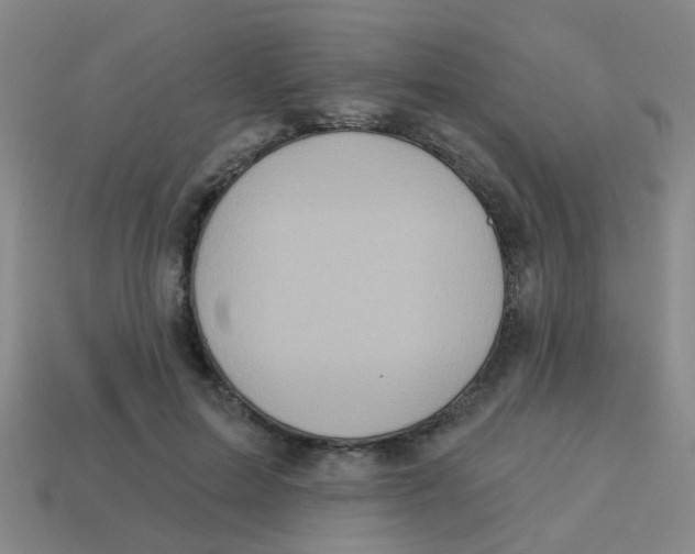 X0000113880599200910221357