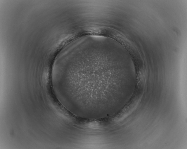 X0000113880600200910221357