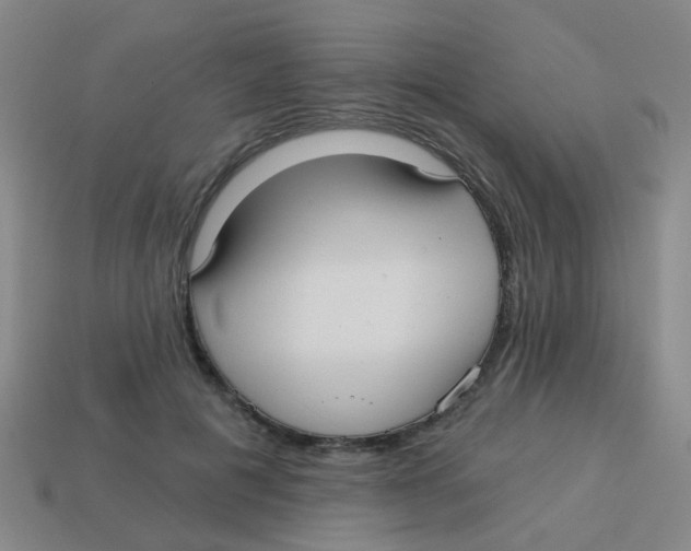 X0000113880601200910221357