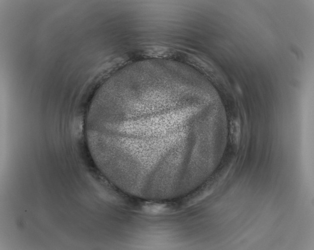 X0000113880602200910221357