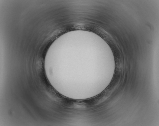 X0000113880603200910221357