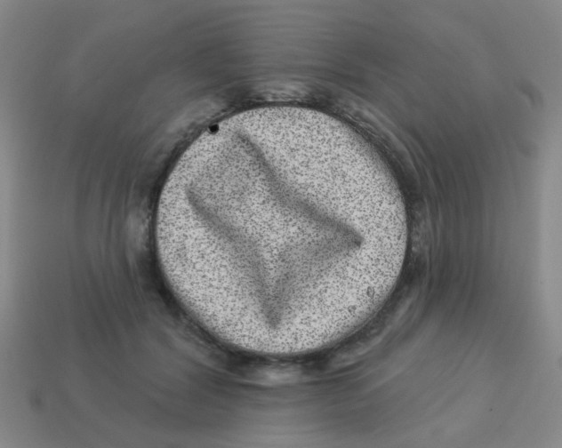 X0000113880604200910221357