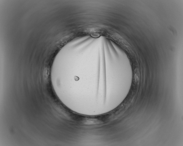 X0000113880605200910221357