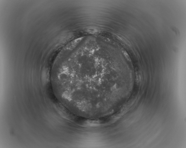 X0000113880606200910221357
