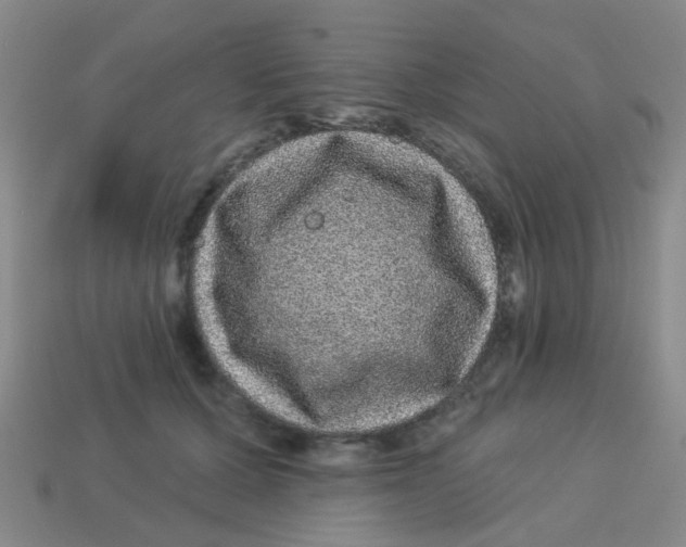 X0000113880607200910221357