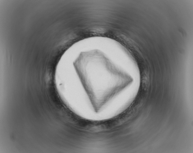 X0000113880608200910221357