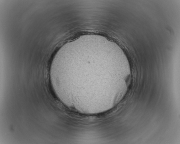 X0000113880609200910221357