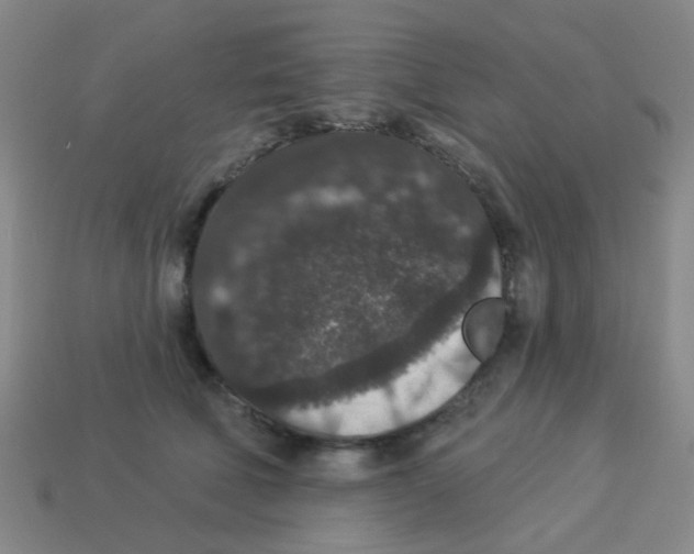 X0000113880610200910221357