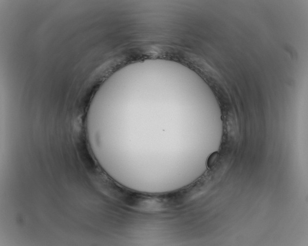 X0000113880611200910221357