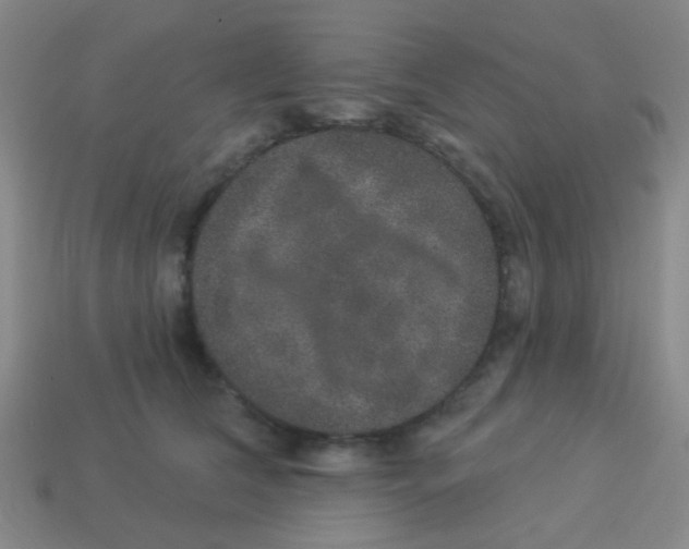 X0000113880612200910221357