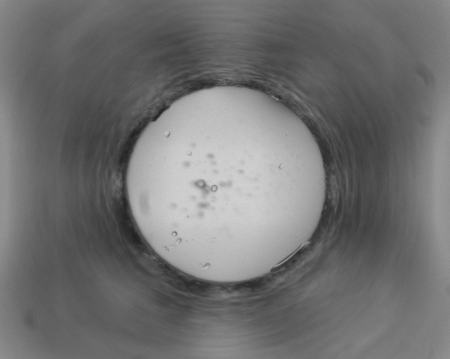 X0000113880613200910221357