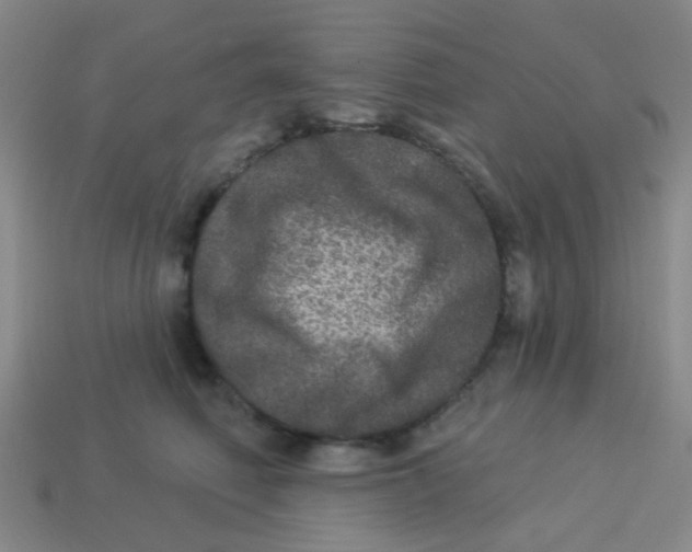X0000113880614200910221357