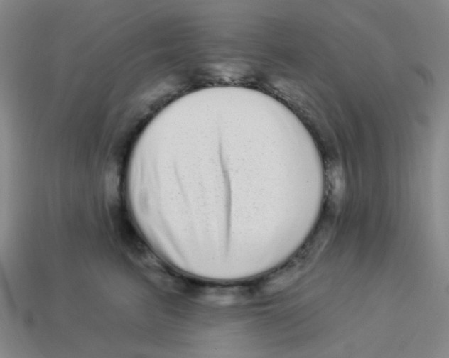 X0000113880615200910221357