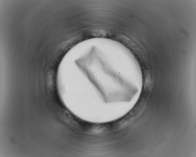 X0000113880616200910221357