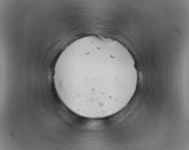 X0000113880617200910221357