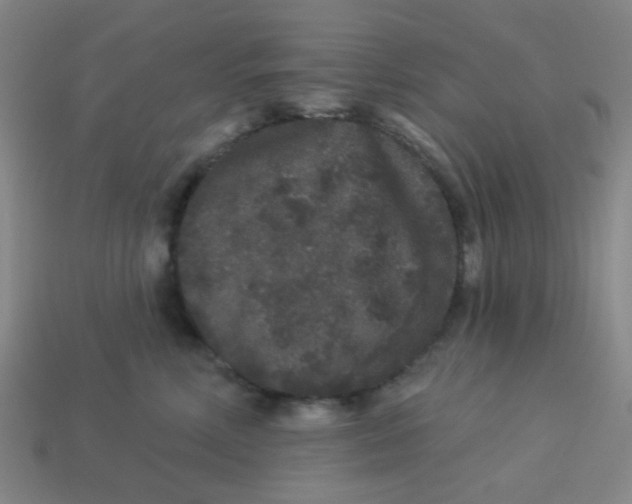 X0000113880618200910221357