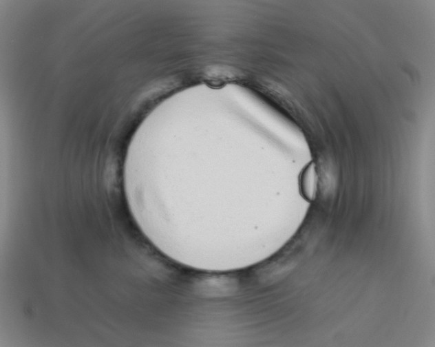 X0000113880619200910221357
