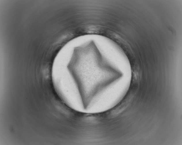 X0000113880620200910221357