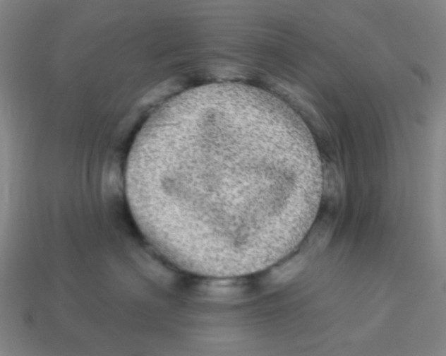 X0000113880622200910221357