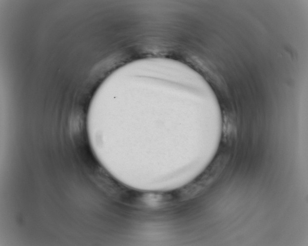 X0000113880623200910221357