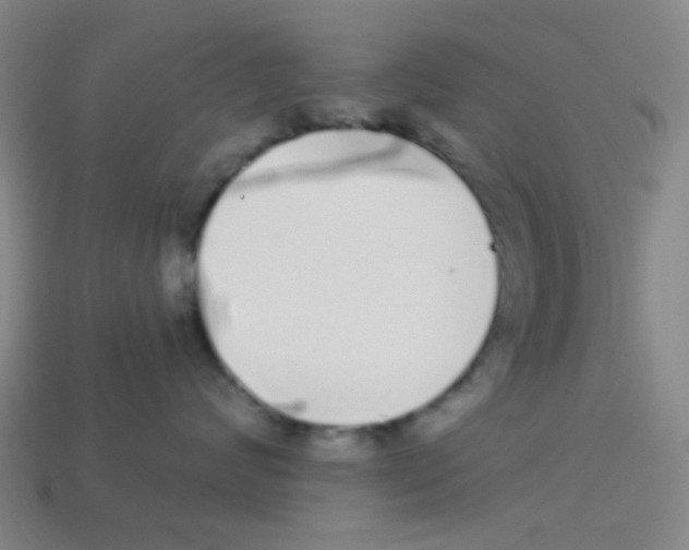 X0000113880624200910221357