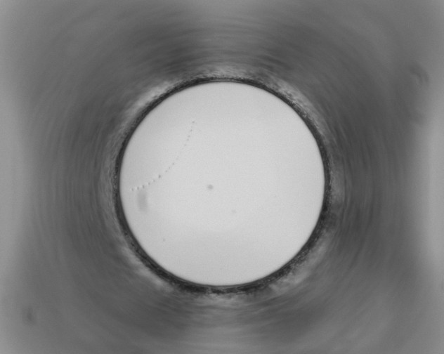 X0000113880625200910221356