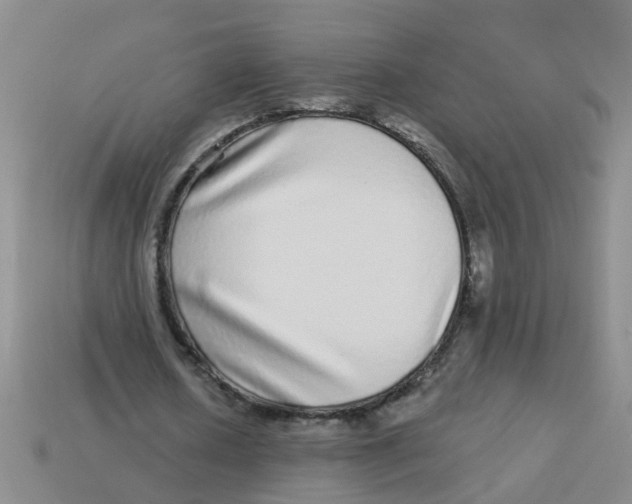 X0000113880626200910221356