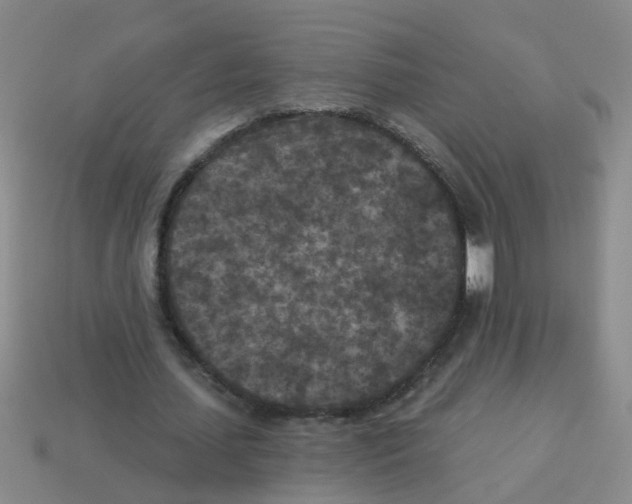 X0000113880627200910221356