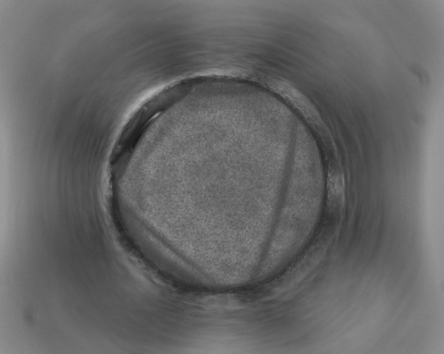 X0000113880628200910221356