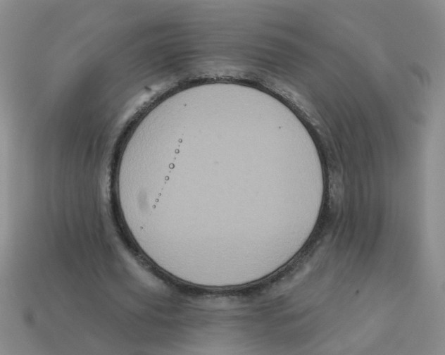 X0000113880629200910221356