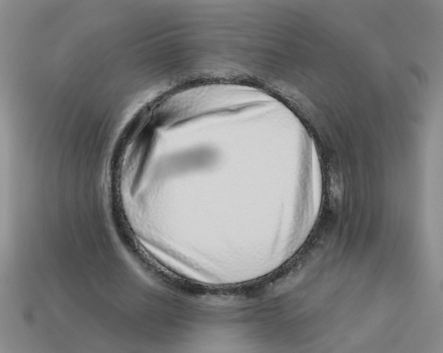 X0000113880630200910221356