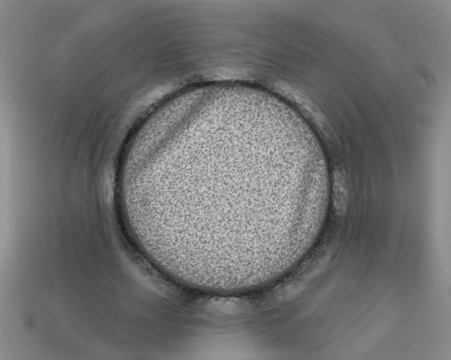X0000113880631200910221357
