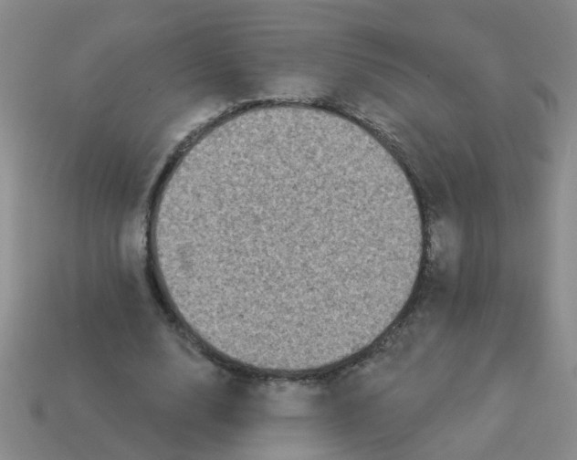X0000113880632200910221357