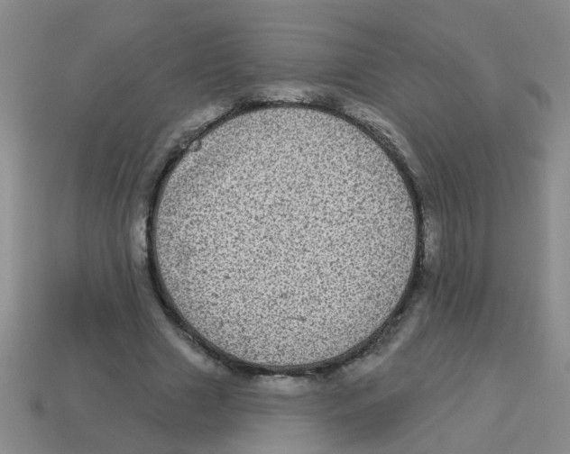 X0000113880633200910221357