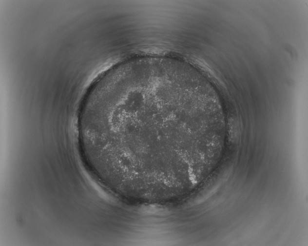 X0000113880634200910221357