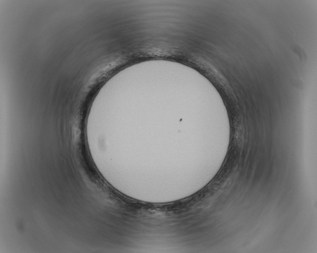 X0000113880635200910221357