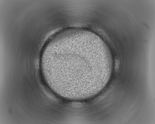 X0000113880636200910221357