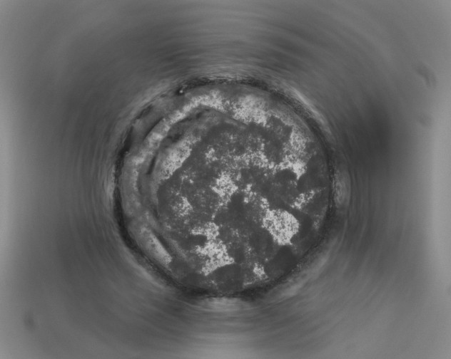 X0000113880637200910221357