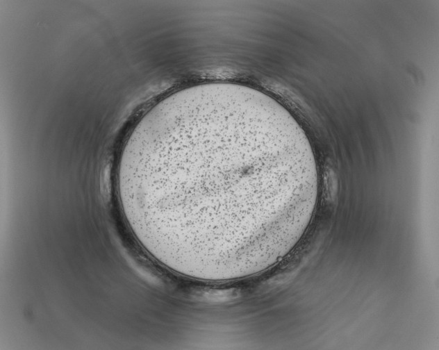 X0000113880638200910221357