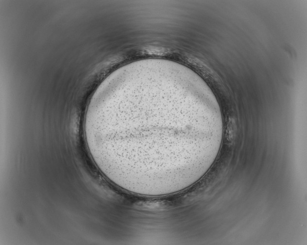 X0000113880639200910221357
