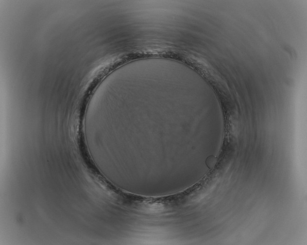 X0000113880640200910221357