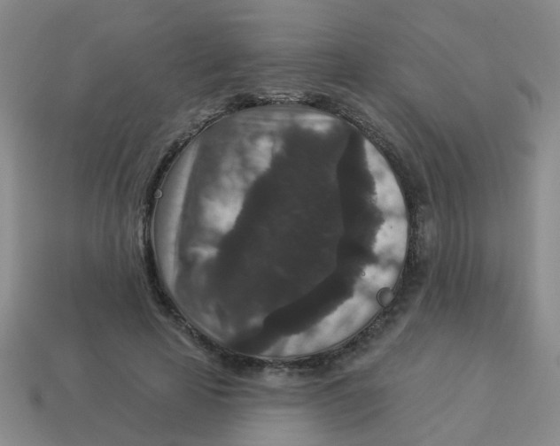 X0000113880641200910221357