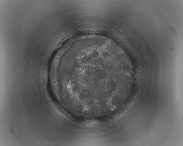 X0000113880642200910221357
