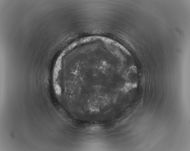 X0000113880643200910221357