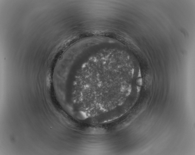 X0000113880644200910221357