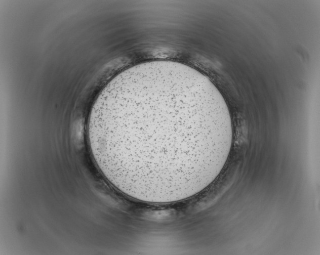 X0000113880646200910221357