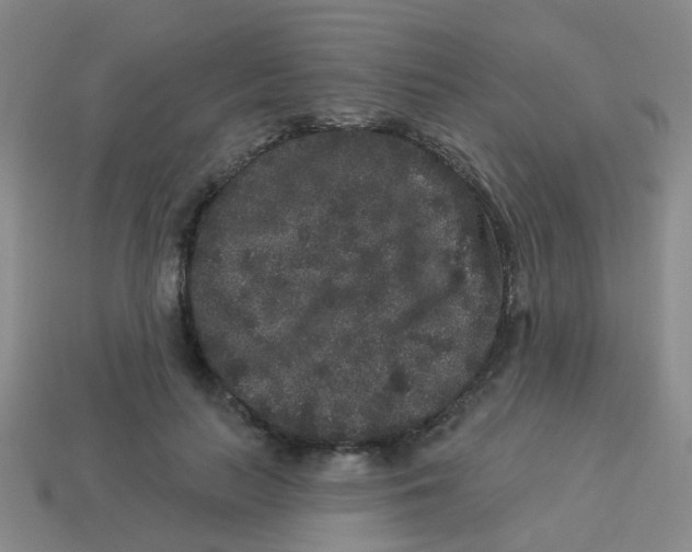 X0000113880647200910221357