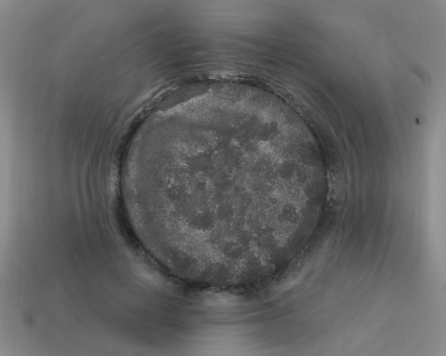 X0000113880648200910221357
